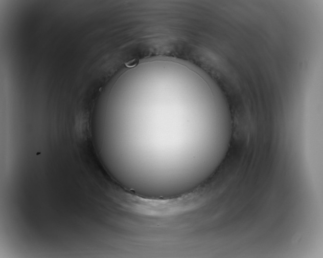 X0000089420034200706151258