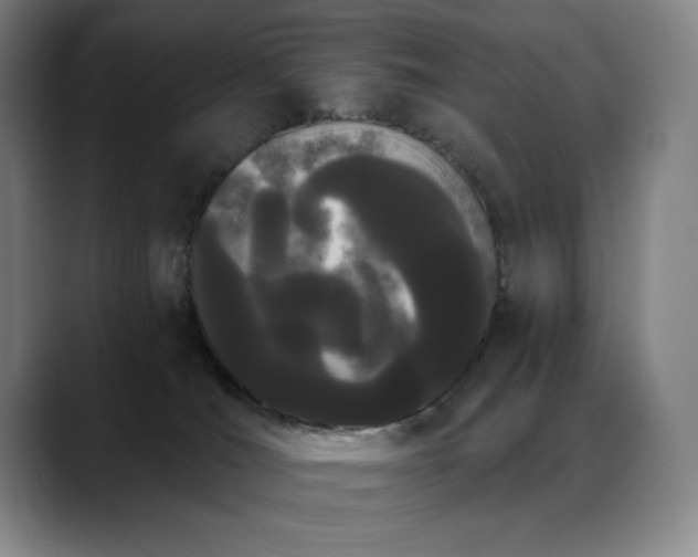 X0000089420036200706151258