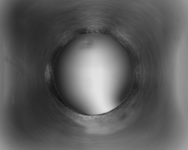 X0000089420038200706151258