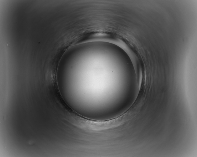 X0000089420039200706151258