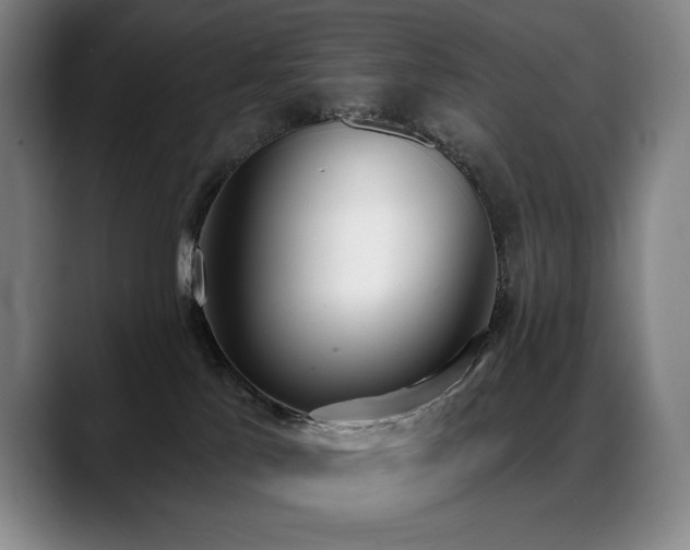 X0000089420041200706151258