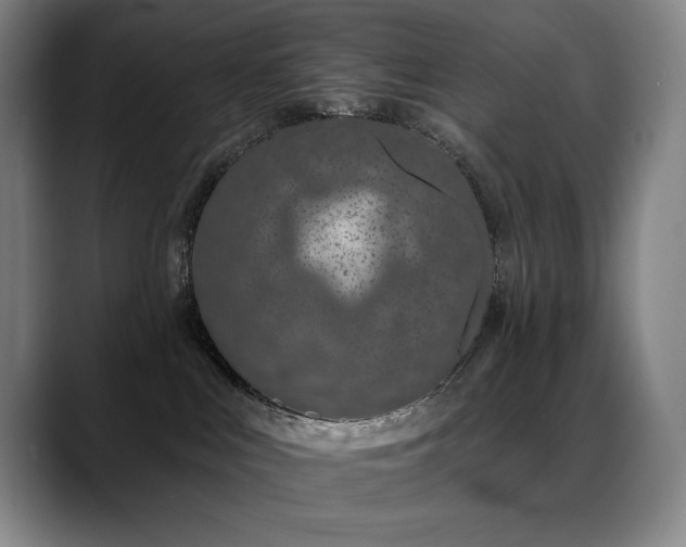 X0000089420043200706151258