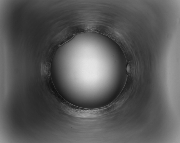 X0000089420044200706151258