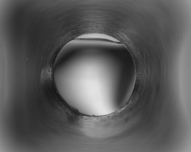 X0000089420045200706151258