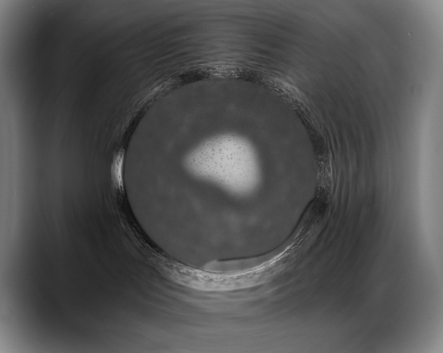 X0000089420047200706151258