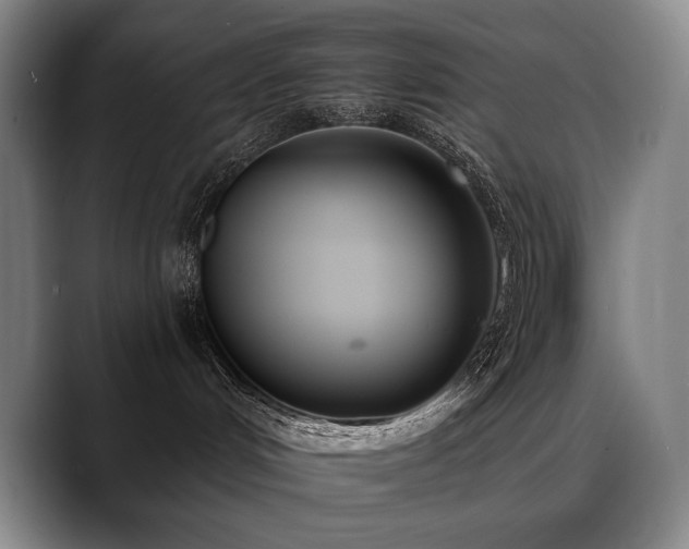 X0000089420048200706151258