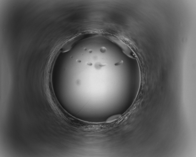 X0000089420049200706151258