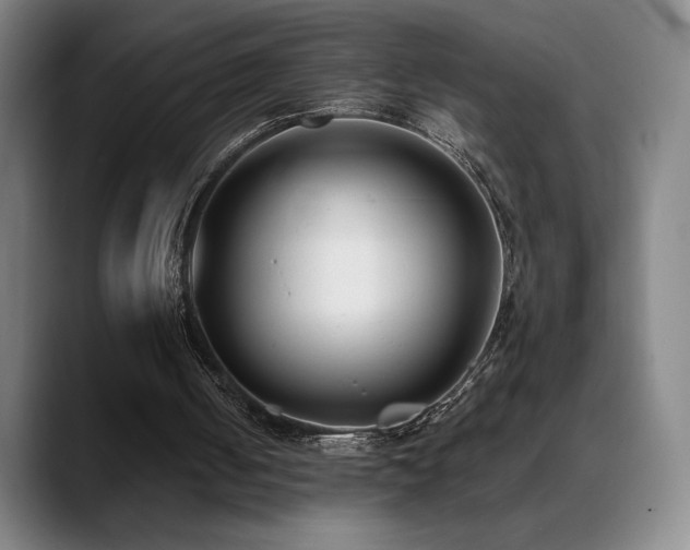 X0000089420050200706151258
