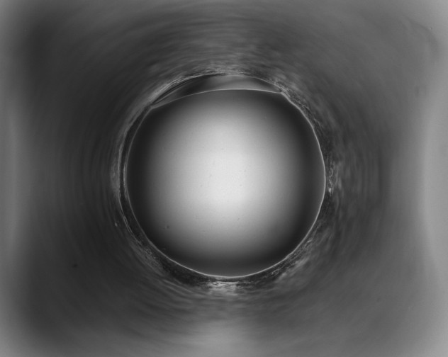 X0000089420052200706151258