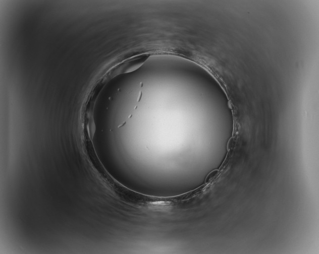 X0000089420053200706151258