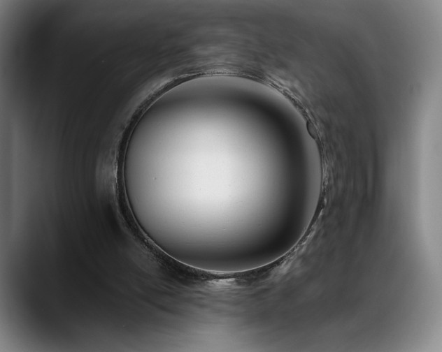 X0000089420054200706151258