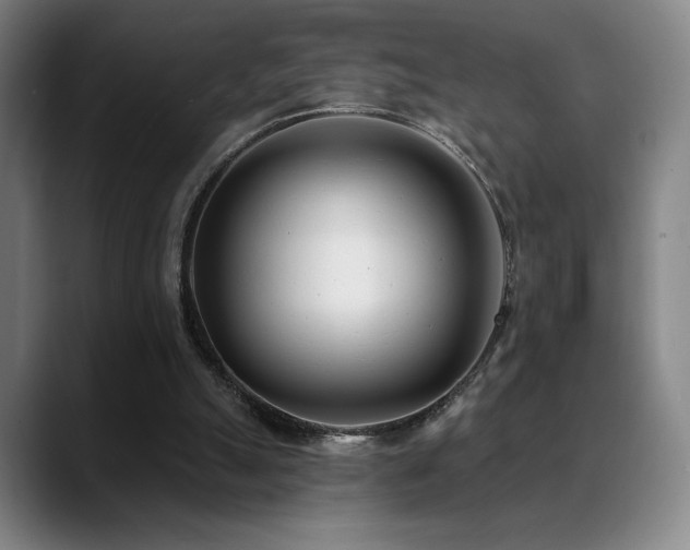 X0000089420055200706151258