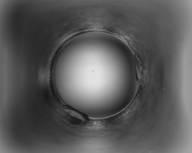 X0000089420056200706151258