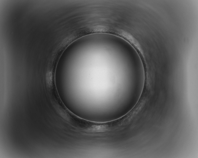 X0000089420057200706151258