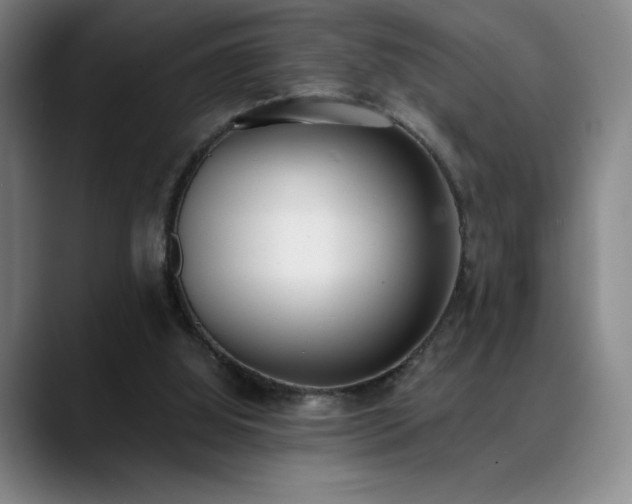 X0000089420060200706151258