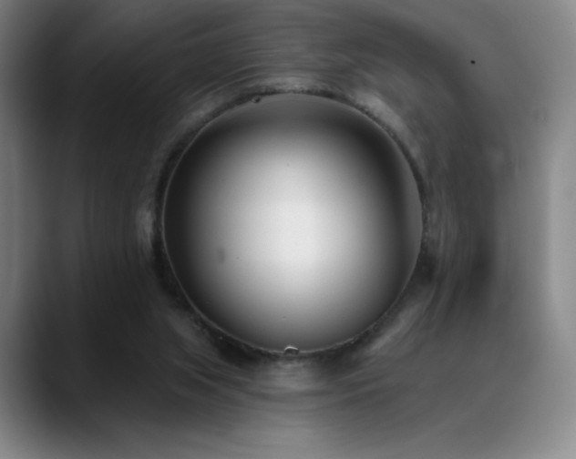 X0000089420063200706151258