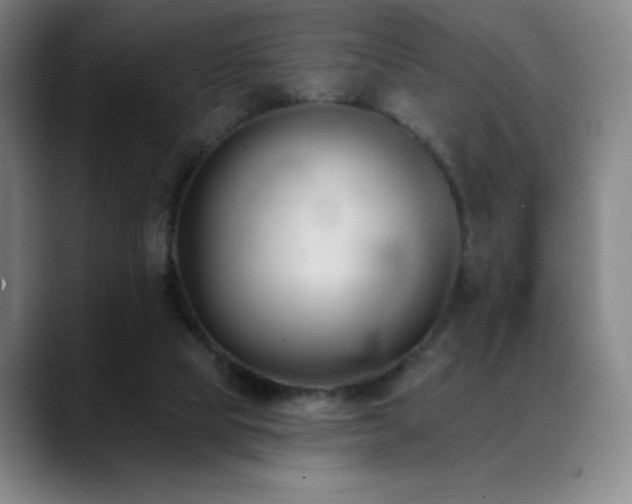 X0000089420065200706151258