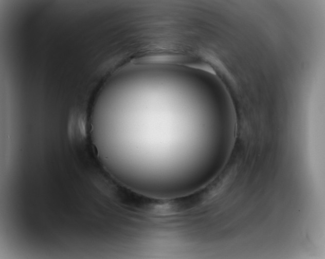 X0000089420068200706151258