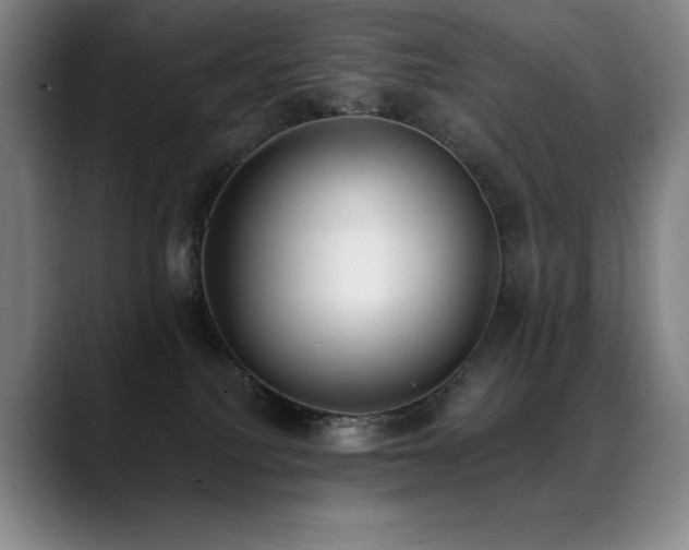 X0000089420088200706151258