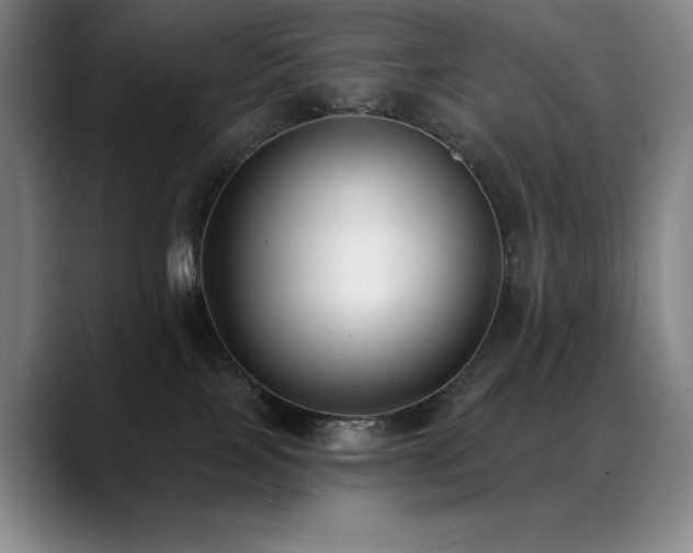X0000089420089200706151258