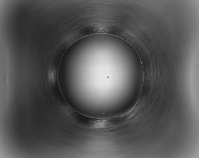 X0000089420090200706151258