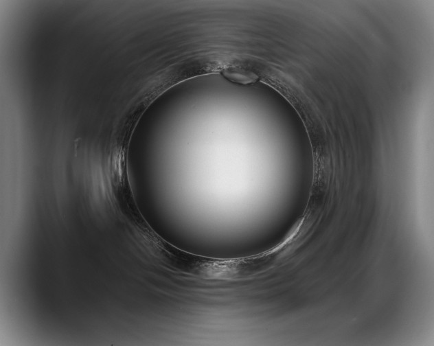 X0000089420094200706151258