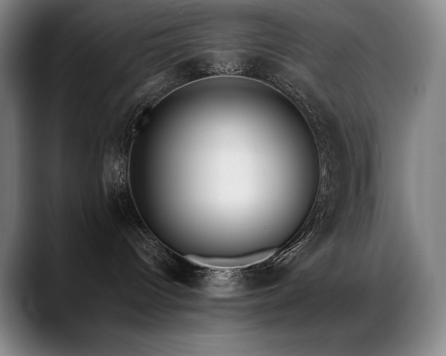 X0000089420096200706151258
