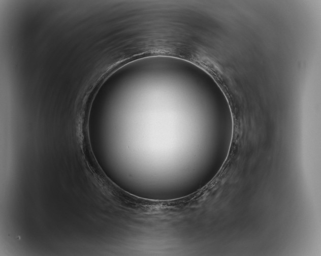 X0000089420098200706151258