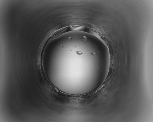 X0000089420099200706151258