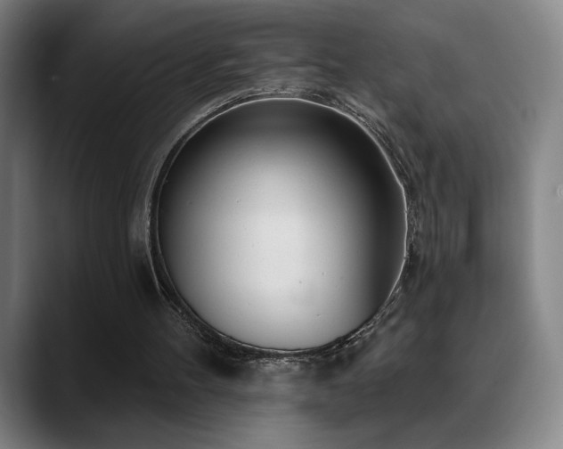 X0000089420100200706151258