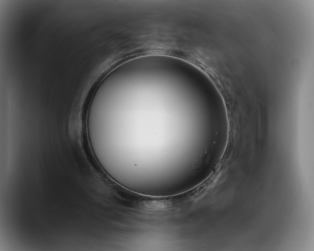 X0000089420102200706151258