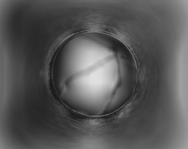 X0000089420103200706151258