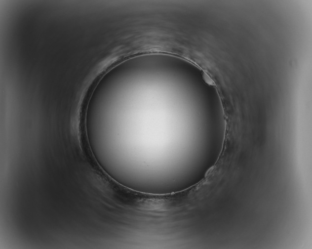 X0000089420104200706151258