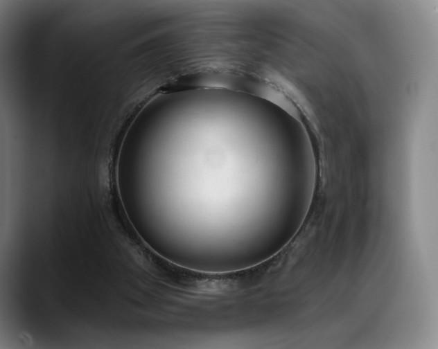 X0000089420105200706151258