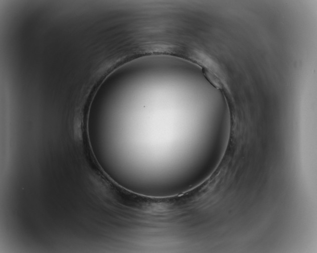 X0000089420107200706151258