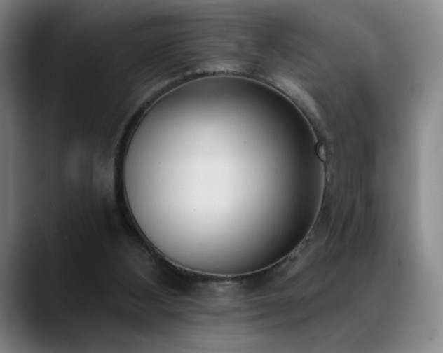 X0000089420108200706151258