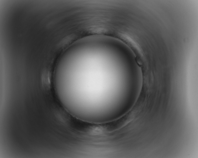 X0000089420115200706151257