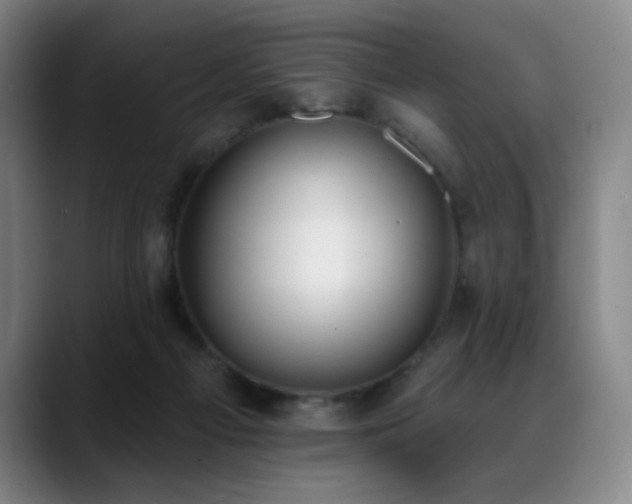 X0000089420121200706151257