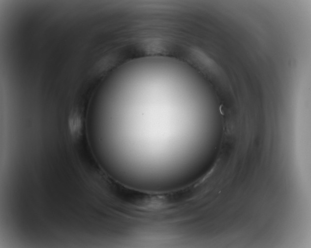 X0000089420124200706151257