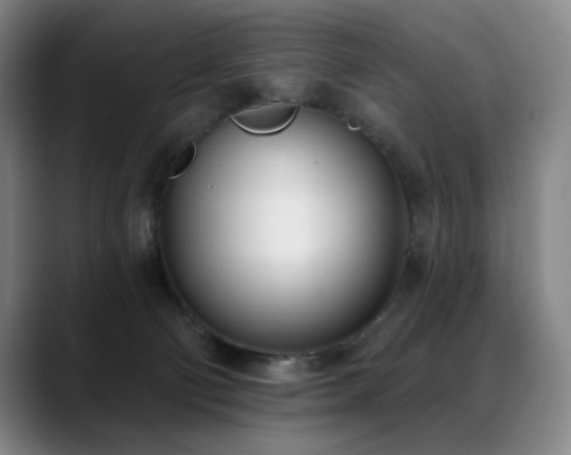 X0000089420130200706151257