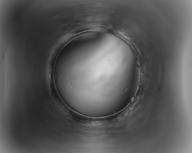 X0000089420149200706151257