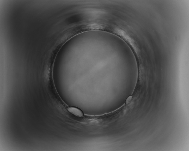 X0000089420153200706151257