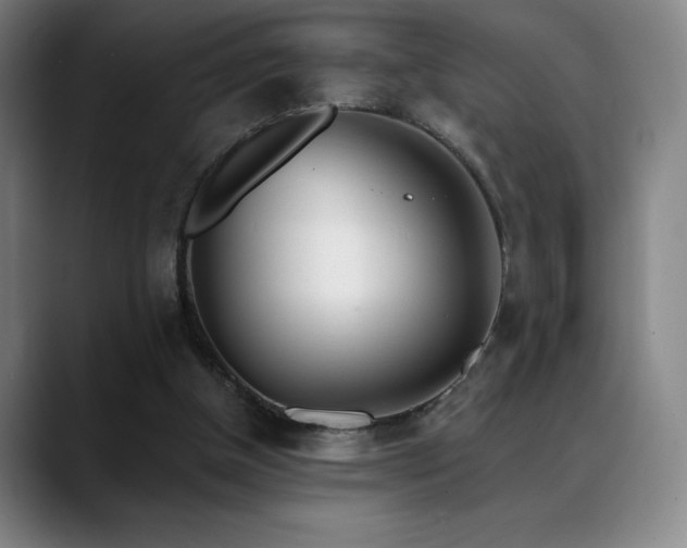X0000089420154200706151257