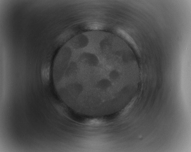 X0000089420163200706151257