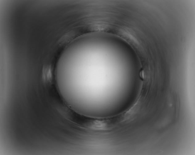 X0000089420166200706151257