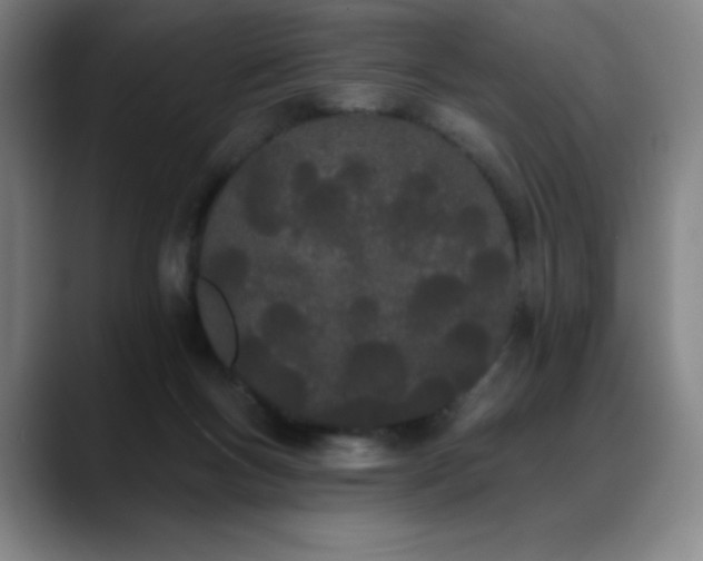 X0000089420167200706151257