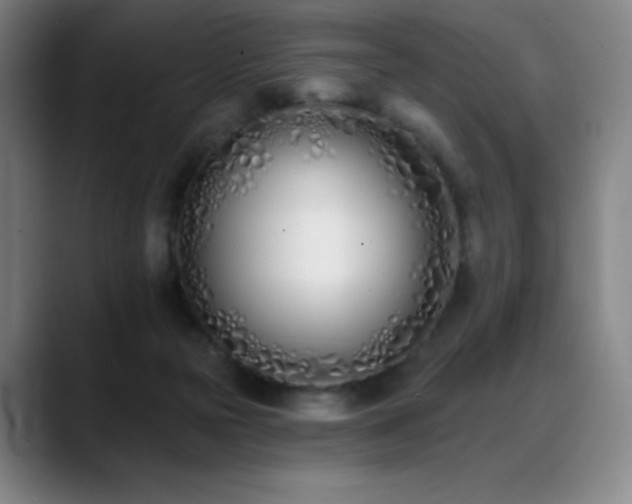 X0000089420169200706151257