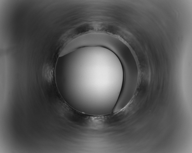 X0000089420188200706151257