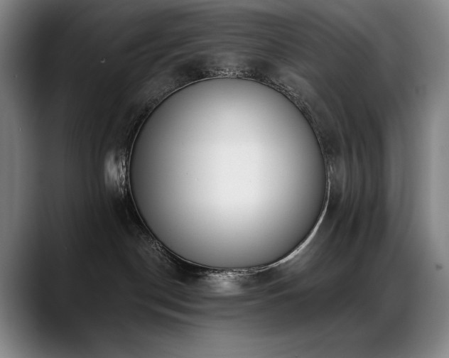 X0000089420190200706151257