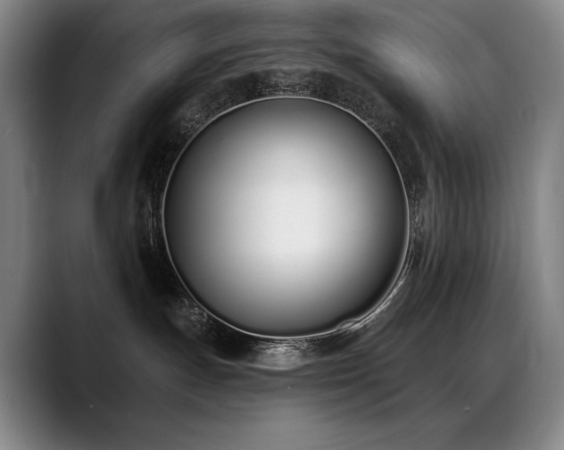 X0000089420191200706151257